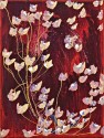  Ruth Osthoff 5-17